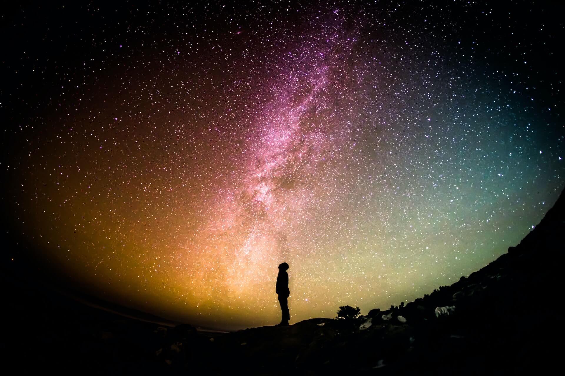 greg-rakozy-oMpAz-DN-9I-unsplash (1)